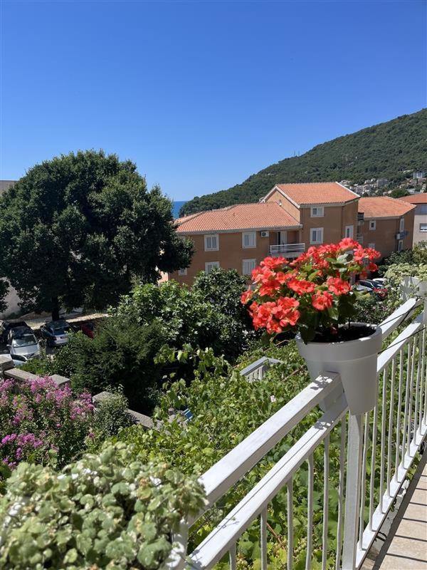 Apartmani Neda Bane Petrovac Kültér fotó