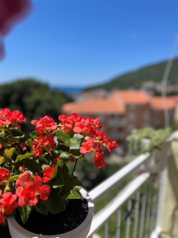 Apartmani Neda Bane Petrovac Kültér fotó